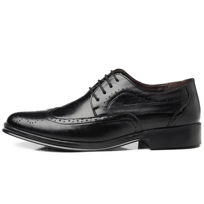 Classic Oxfords for Men | Brogue Detail Finish & Comfortable Lace-Up Fit